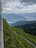 resIMG_20220616_112810_IMG_8978_HEIC.jpg